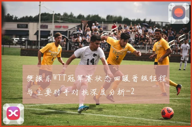 樊振东WTT冠军赛状态回暖晋级征程与主要对手对抗深度分析