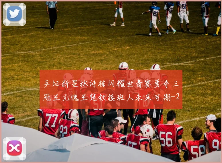 乒坛新星林诗栋闪耀世青赛勇夺三冠王无愧王楚钦接班人未来可期