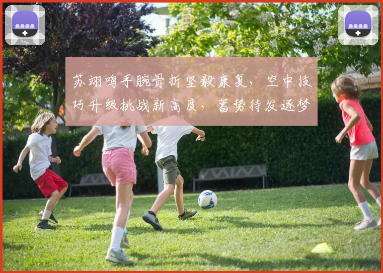 苏翊鸣手腕骨折坚毅康复，空中技巧升级挑战新高度，蓄势待发逐梦冬奥